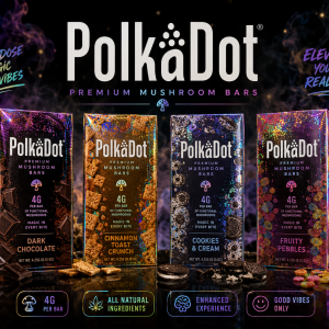 (4 GRAM) POLKADOT MUSHROOM BARS | BULK DISCOUNTS